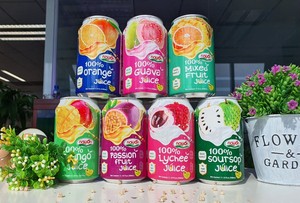 น้ำผลไม้รวมเวียดนาม 300 มล. กระป๋องอะลูมิเนียม 100% จากน้ำผลไม้เขตร้อน เครื่องดื่มคุณภาพพรีเมียม ขายส่ง ราคาดีที่สุด - Product Image 4