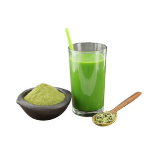 Poudre de Moringa oleifera de la meilleure valeur sur le marché - Product Image 1