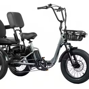 Electric <b>Bike</b> Adults 1200W 22MPH Etrike 12V Lithium Battery 70Ah 12-Speed Disc Brake Aluminum Frame 24" Folding Fat Tire <b>3</b>-<b>Wheel</b> - Product Image 1