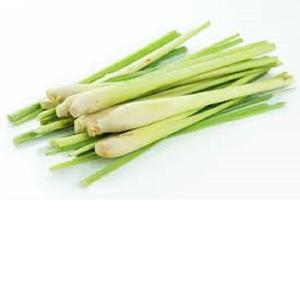 Aceite de hierba de limón indio Premium | Extracto de hierbas puro | Precio al por mayor y suministro a granel - Product Image 2