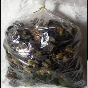 Alcachofa Africana Seca de Alta Calidad, IQF, Concha de Mejillón Cocida, Sabor Original, Salada, Vegana, Gourmet, Alta en Proteínas, Natural - Product Image 6