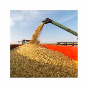 Graines de farine de soja séchées de soja jaune biologique Offre Spéciale sans OGM pour l'emballage en vrac d'aliments pour animaux - Product Image 6