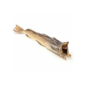 Stockfish séché biologique de haute qualité sans nicotine en provenance de Belgique avec des têtes de morue - Tailles personnalisées disponibles - Product Image 4