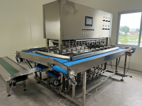 16-Head Elektrische Industriële Mango Dunschiller Automatische Fruit-En Groenteschilmachine