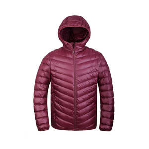 Abrigo de invierno de alta calidad para hombre, cremallera en el cuello con capucha, chaqueta acolchada de tela de burbujas gruesa y cálida impermeable - Product Image 4