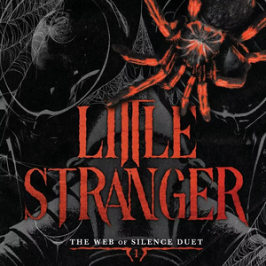 The Little Stranger (<b>Paperback</b>) A Chilling Gothic Masterpiece (Wholesale supply) - Product Image 1