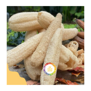 VIETNAM ECO FRIENDLY LOOFAH FOURNISSEUR MATÉRIEL NATUREL PRODUIT DE HAUTE QUALITÉ PRIX CONCURRENTIEL POUR L'EXPORTATION - Product Image 2