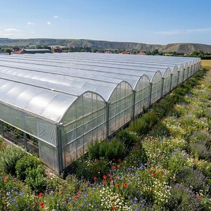 Invernadero Modular Prefabricado de Múltiples Vetas con Cubierta de Película para Instalación Rápida y Bajo Costo de Mano de Obra - Kit de Suministro para Proyectos Agrícolas - Product Image 1