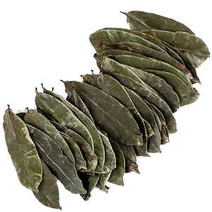 FEUILLES DE SOURSOP TERREUSES ET SAVOUREUSES/REMÈDE AUX HERBES/QUALITÉ ECO-CONSCIOUS/FABRIQUÉ AU VIETNAM - Product Image 6