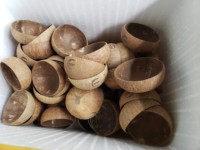 Vente en gros de bols en noix de coco écologiques jetables, design vintage personnalisé, gravés, pour le camping, grande quantité provenant du Vietnam