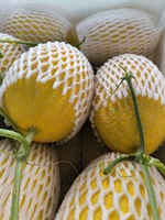 Verse Vietnamese Honingmeloen Groothandel-Premium Zoete Honingmeloen Hoge Kwaliteit Tropisch Fruit Bulk Export Levering 30-60 Dagen Houdbaarheid