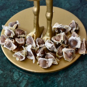 Giá cả cạnh tranh khô oleifera <span class=keywords><strong>Moringa</strong></span> Hạt giống chất lượng tốt khô <span class=keywords><strong>Moringa</strong></span> hạt giống từ Việt Nam cho xuất khẩu - Product Image 6