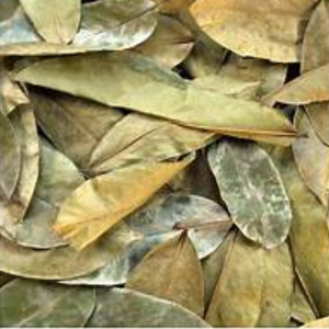 ใบกราวิโอลา/ใบทุเรียนเทศแห้งตามธรรมชาติในเวียดนาม - Product Image 5