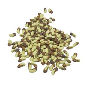 เมล็ดถั่วฝักยาว BCA คุณภาพสูง ผลิตภัณฑ์ใหม่ ระดับพรีเมียม ยอดขายดีที่สุด จากอินโดนีเซีย - Product Image 4