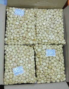 Noix de macadamia de qualité supérieure crues et grillées, salées, collations saines, noix de macadamia séchées sans coque - Product Image 5