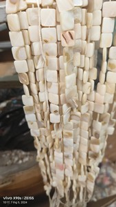 Vente en gros de mini coquillage naturel conque coquillage cauri pour bricolage décoration de la maison coquillages artisanaux naturels - Product Image 3