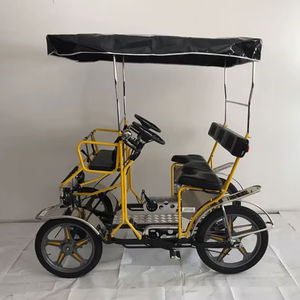 Tricycle électrique standard personnalisé à 4 roues à vendre - Product Image 1