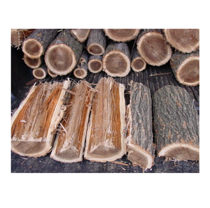 Troncos de madera de olmo natural en venta a bajo precio, perfectos para aserraderos y uso en la fabricación de madera - Product Image 3