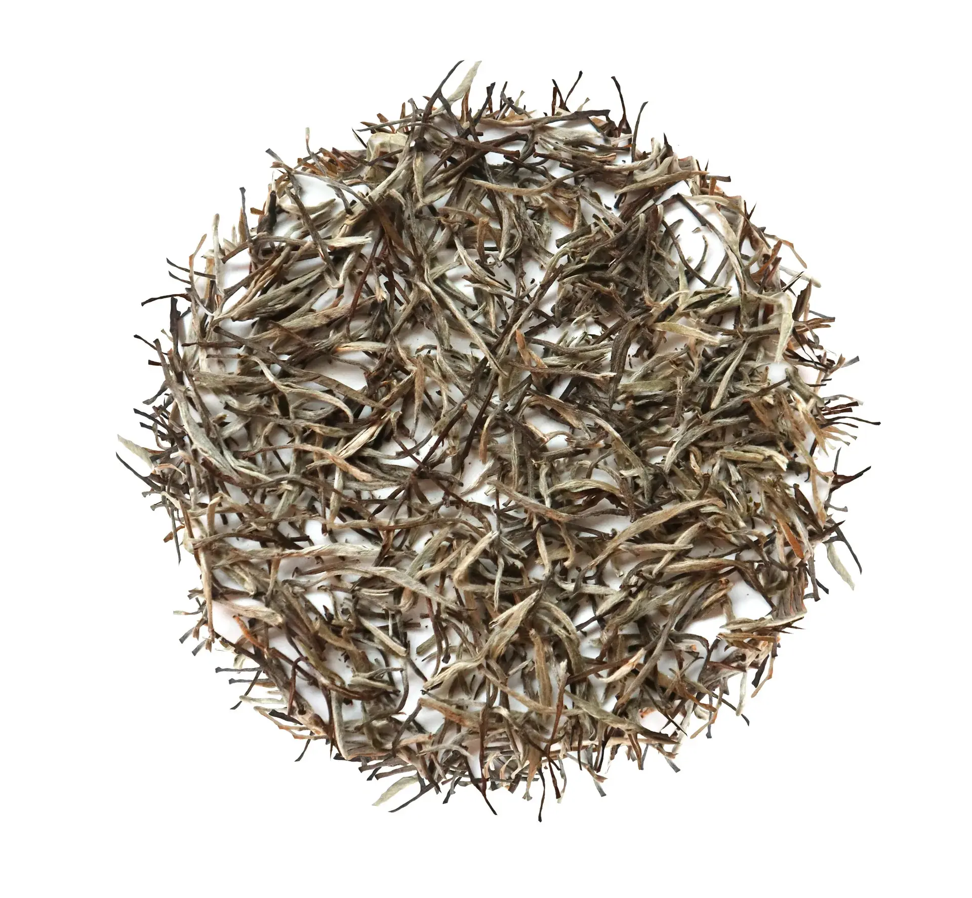 Chai Chun High Quality Silver Needle White Tea - For Wholesale Bulk White Tea Loose - White Tea Silver Tips Bai Hao Yin Zhen