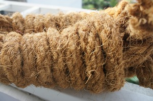 Venta al por mayor de cuerdas de coco de Vietnam, cuerdas de fibra rizada de primera calidad perfectas para jardinería, soporte de plantas y exportación en todo el mundo - Product Image 5