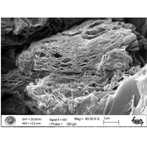 Aerogel de Grafeno de Grado Industrial, Material Nano de Carbono Ultraligero, 99% de Pureza, Modelo GA-001, Aislamiento Térmico Negro, Conductor - Product Image 2