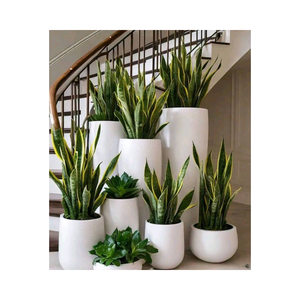 Macetas Redondas <span class=keywords><strong>para</strong></span> Exteriores, <span class=keywords><strong>para</strong></span> Árboles y Plantas en Maceta, Macetas Decorativas de Fibra de Vidrio, Macetas <span class=keywords><strong>para</strong></span> Árboles - Product Image 6
