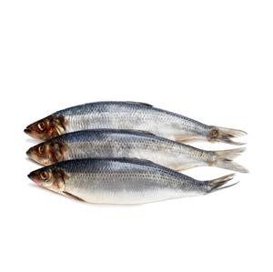 Pescado Arenque, el Más Vendido, Increíblemente Bueno, Congelado de Primera Calidad, Bajo en Sal, con Vitaminas, de Portugal - Product Image 6