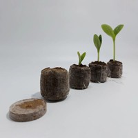 Kit de démarrage de semis de pépinière, terre de tourbe de coco pour la culture d'arbres et de plantes, pastilles de coco avec un bon prix pour l'achat
