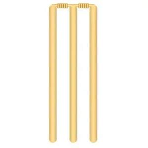 Celipex Private Limited Haute qualité Meilleure vente Souches de cricket en plastique blanchi et poli Lot de 3 Souches - Product Image 4