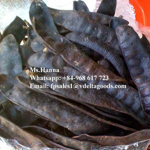 Gleditsiae seco de Vietnam de alta calidad/Fructus Gleditschiae para cabello 2021 - Product Image 2