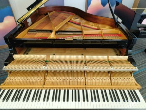 เปียโนแกรนด์ Kawai KG3C 88 คีย์ คีย์บอร์ดไม้แท้แบบถ่วงน้ำหนัก สไตล์คลาสสิกแบบมืออาชีพ ติดตั้งบนพื้น - Product Image 4