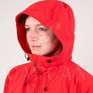 100% Polyester Softshell Hiver Manteau Capuche Dernière Conception Haute Qualité Marque Privée Femmes Veste Avec Bouton Décoration - Product Image 3