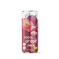 100% Appelsap In Blik 320Ml Groothandelsprijs Fruit En Groentesap Dranken Vietnam Drank Fabrikant