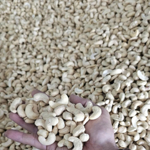 Noix de cajou de qualité supérieure W180 W240 W320 Noix de cajou séchées ISO, HACCP Kaju Badam SANTIGO - Product Image 1