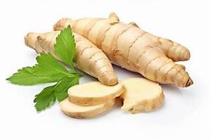 INGREDIENTE DE ETIQUETA LIMPIA A BASE DE PLANTAS HERBALES NATURALES ENTERAS DE RAÍZ GALANGAL FRESCO PARA EL REFUERZO DE LA SALUD Y LA DEFENSA INMUNE - Product Image 6