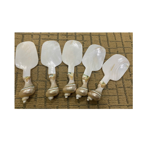 Cuillère à coquillages et cuillère en nacre de qualité supérieure pour la cuisine gastronomique par le fabricant vietnamien 99 Gold Data - Product Image 3