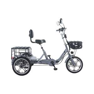 Triciclo eléctrico de carga plegable con tracción trasera de 48V y 350W, neumático de 16 pulgadas, velocidad máxima de 25 km/h, triciclo eléctrico de acero, ambos estilos abiertos y cerrados disponibles - Product Image 2