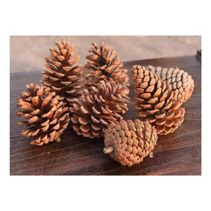 ลูกสนธรรมชาติขนาดเล็กสีน้ำตาลคริสต์มาสที่มีขนาดแตกต่างกันและสี - Product Image 6