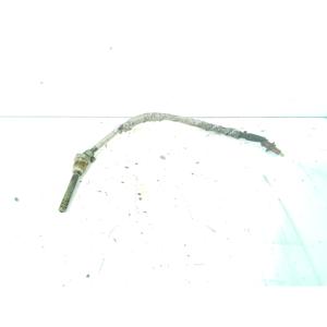 Sonda FAP AUDI A5 Berlina Serie (8T3) 059906088m Diesel 2000 (07>) - Product Image 1