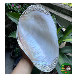 Ensemble de cuillère et de plat en nacre de qualité supérieure, parfait pour servir le caviar, plat en nacre artisanal pour l'affichage du savon - Product Image 1