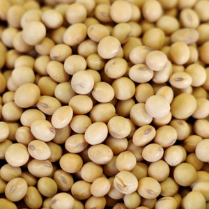 Organic Dried <b>Soybeans</b> Seeds 2026 Crop - Product Image 2