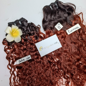 Burmese <b>Curly</b> Cuticle Aligned Raw Cambodian Hair Big Curl Double Drawn Double Weft Human Hair <b>Bundles</b> Ombre Color - Product Image 1
