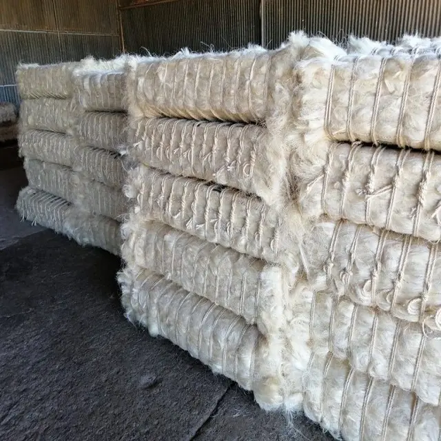 Ucuz fiyatlarla satmak için kaliteli Sisal Fiber Sisal kenevir doğal UG sınıf Sisal Fiber ucuz satış