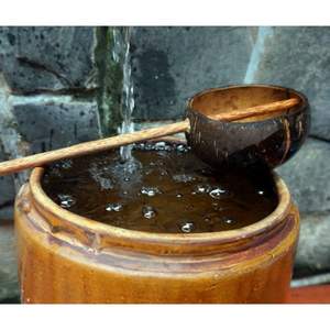 100% CÁSCARA DE COCO NATURAL/BIODEGRADABLE Y SOSTENIBLE/CERO RESIDUOS - Product Image 1