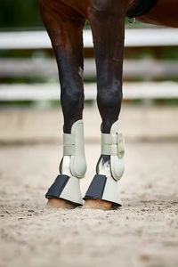 Botas de cepillado de caballos mejor fabricado, precio de fábrica, etiqueta privada hecha a medida, cantidad a granel, diseño único, MOQ bajo - Product Image 6