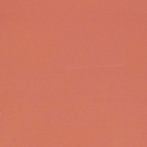 Femmes Couleurs unies Gym Workout Fitness Wear Débardeurs Débardeurs en coton respirant avec des produits de haute qualité Service OEM - Product Image 5