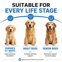 Complément Multivitaminé Quotidien pour Chiens : Soin de la Peau, du Pelage et Digestif – Friandises à Mâcher Souples – Marque Privée, Vente en Gros, Fabricant OEM, Usine