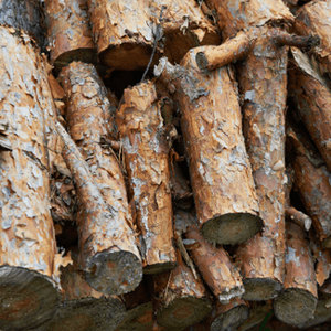 Premium Dust-Free <b>Pine</b> Wood Cat Litter <b>Pine</b> Beam, Solid Wood Board, and Lumber Wholesale Prices - Product Image 6