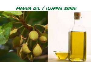 Huile de support Mahua pressée à froid pure et naturelle 100% utilisée dans la croissance des cheveux et l'huile de massage fournisseur en gros et exportateur en Inde - Product Image 6