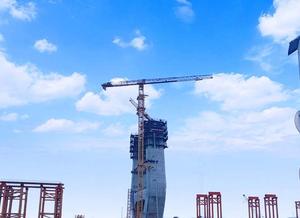 63 Ton <strong>Tower</strong> <strong>Crane</strong> XGT1200 Large topless <strong>Tower</strong> <strong>Crane</strong> for Sale - Product Image 5